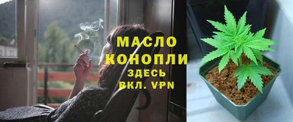 сатива Абаза