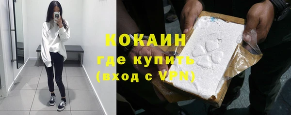 сатива Абаза