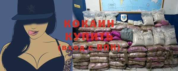 сатива Абаза