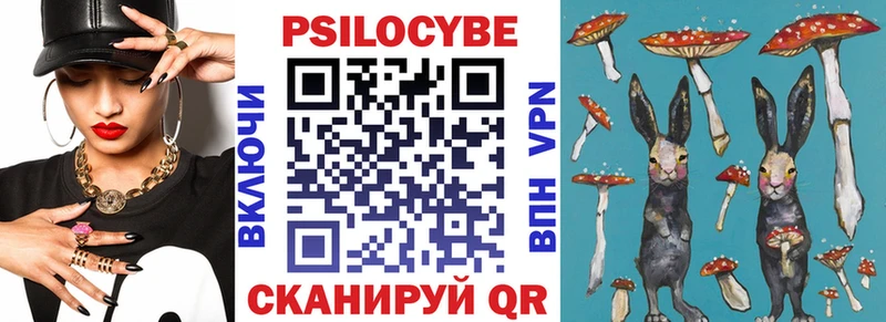 Галлюциногенные грибы Psilocybine cubensis  купить наркотики сайты  Альметьевск 