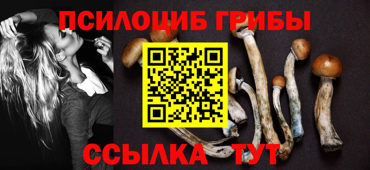 Псилоцибиновые грибы прущие грибы Альметьевск