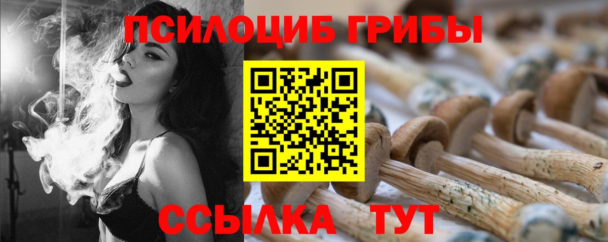 Альметьевск  Псилоцибиновые грибы GOLDEN TEACHER  Вход с VPN  Псилоцибиновые грибы Psilocybine cubensis 