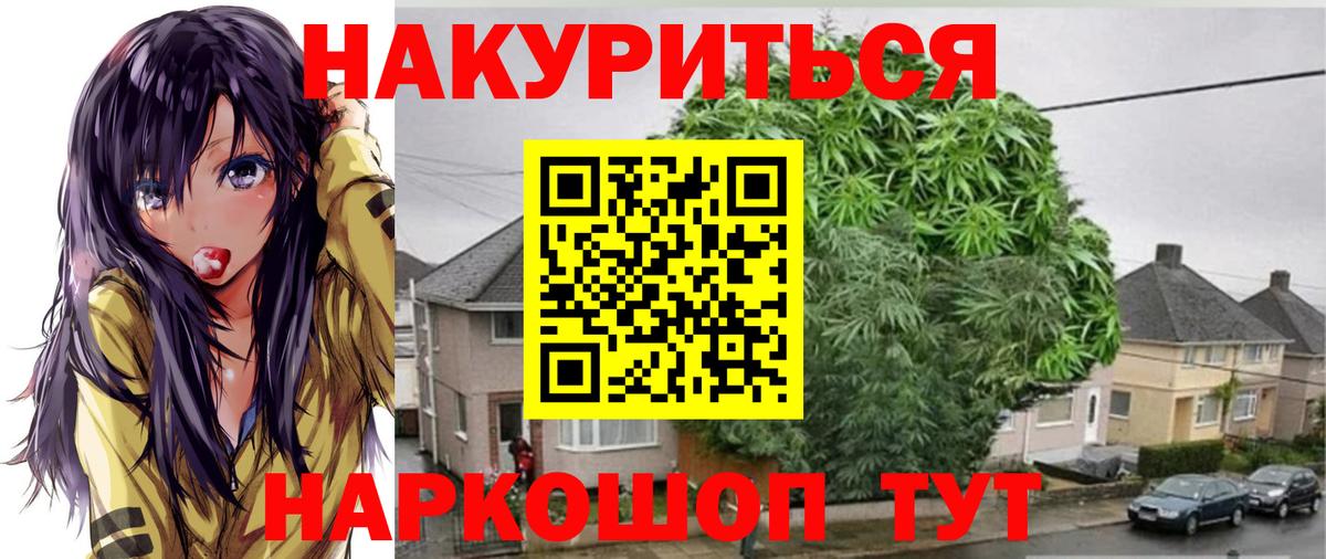 Конопля OG Kush Альметьевск